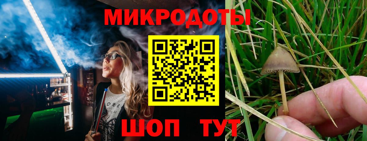 Псилоцибиновые грибы GOLDEN TEACHER  Вход с VPN  Уварово 